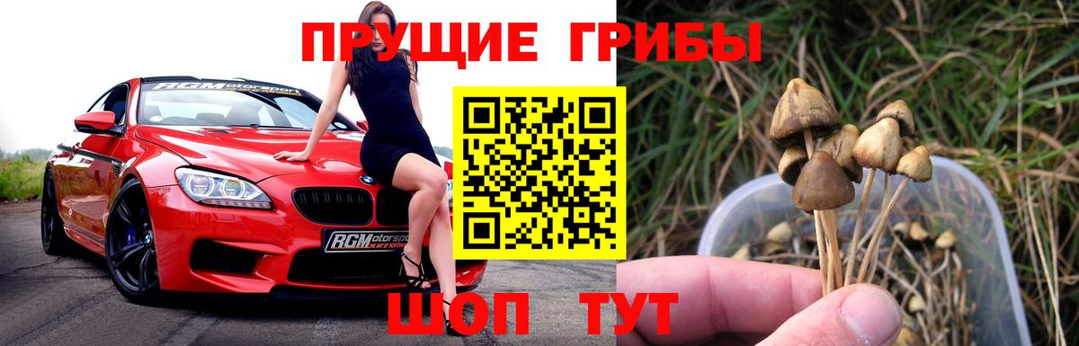 Черногорск  Галлюциногенные грибы Psilocybine cubensis  Псилоцибиновые грибы Psilocybine cubensis  Вход с VPN 